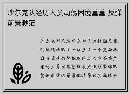 沙尔克队经历人员动荡困境重重 反弹前景渺茫